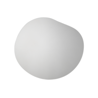 ENVIRONMENTAL_IMAGE